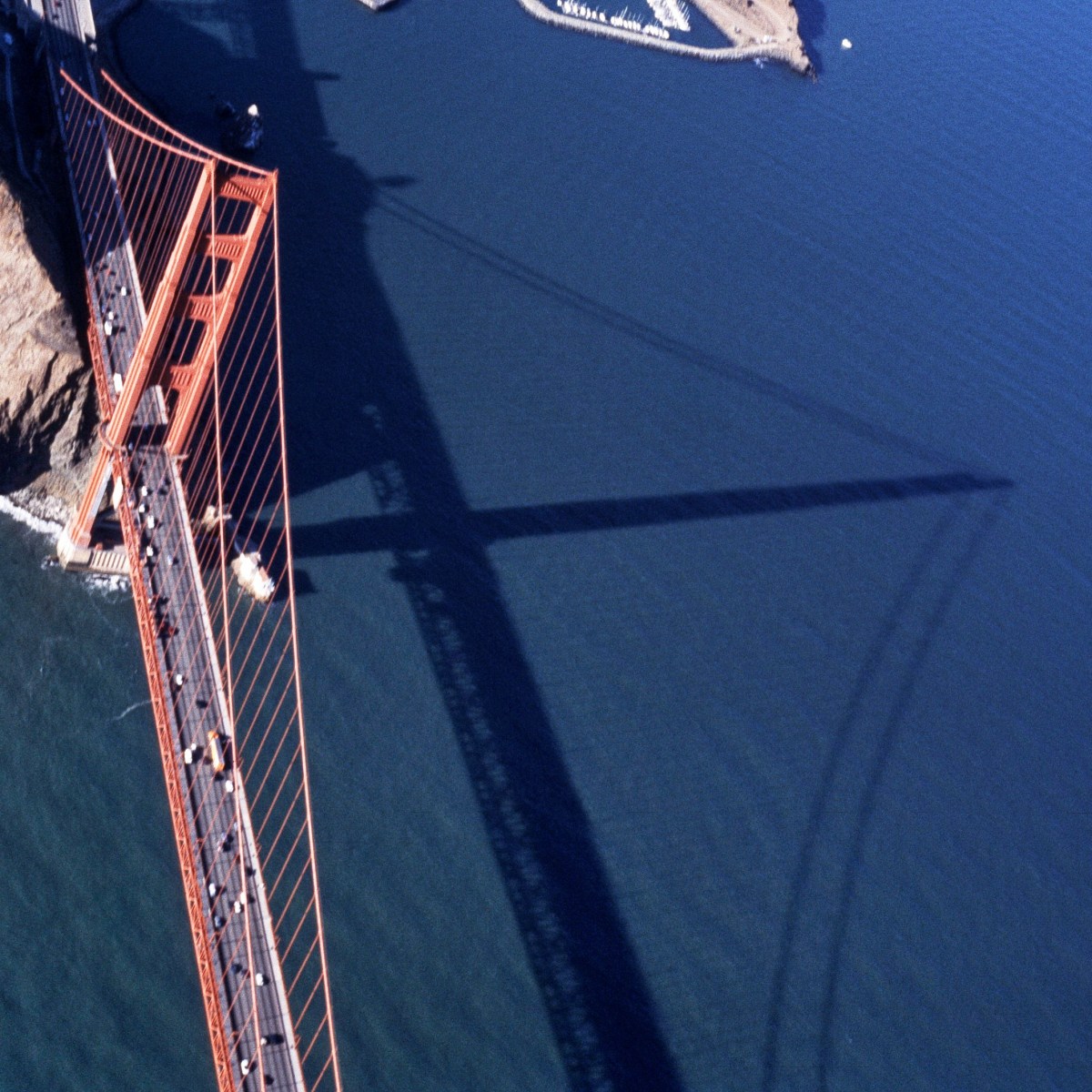 “This can’t be happening.”